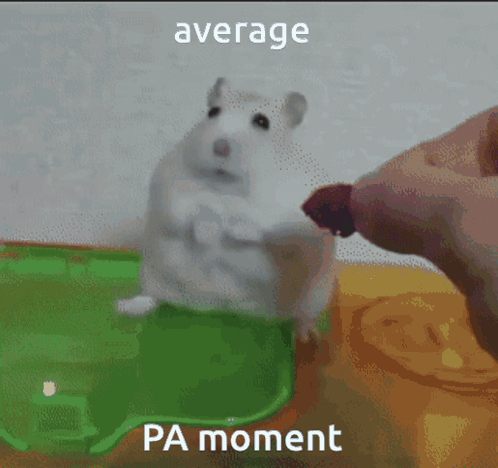 A Picture Of A Hamster With The Words " Average Pa Moment " Below It GIF