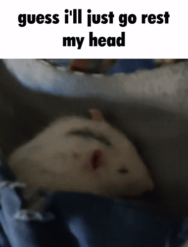A Picture Of A Hamster With The Words Guess I 'Ll Just Go Rest My Head GIF