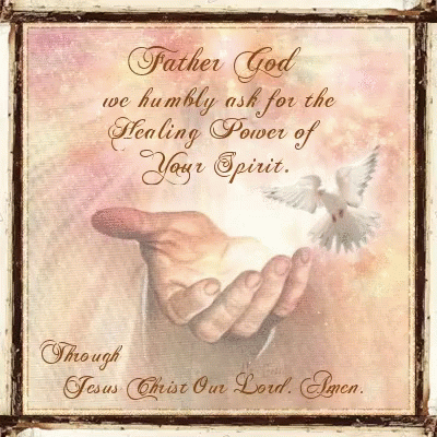 A Picture Of A Hand Holding A Dove With The Words Father God We Humbly Ask For The Healing Power Of Your Spirit Written GIF