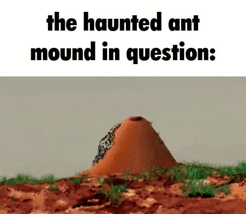 A Picture Of A Haunted Ant Mound In Question .. GIF