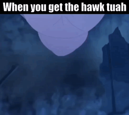 A Picture Of A Hawk With The Caption " When You Get The Hawk Tuah " GIF
