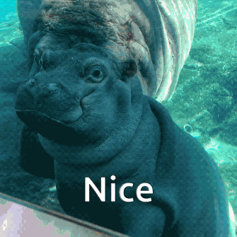 A Picture Of A Hippopotamus With The Word Nice On It GIF