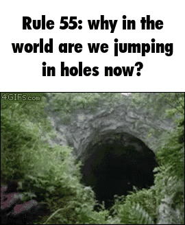 A Picture Of A Hole With The Caption Rule 55 Why In The World Are We Jumping In Holes Now GIF