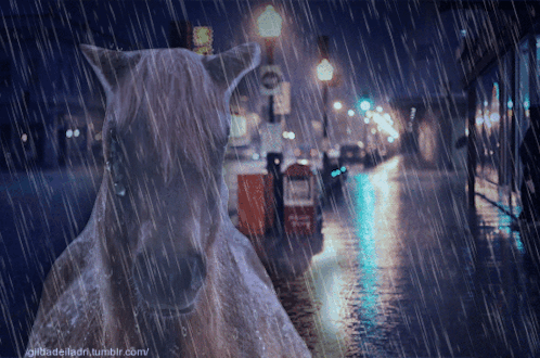 A Picture Of A Horse In The Rain With The Website Gilbadelladri.tumblr.com In The Corner GIF