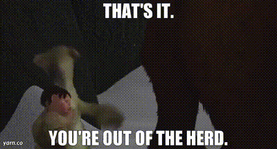 A Picture Of A Horse With The Words That 'S It You 'Re Out Of The Herd Written On It GIF