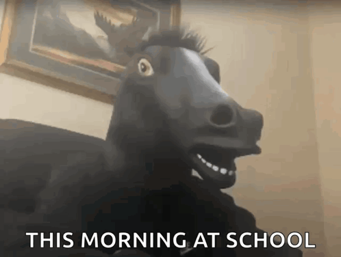 Horse With This Morning At School Text GIF