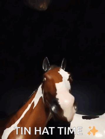 A Picture Of A Horse With The Words " Tin Hat Time " Written Below It GIF