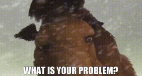 A Picture Of A Horse With The Words What Is Your Problem GIF