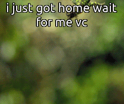 A Picture Of A Hummingbird With The Words " I Just Got Home Wait For Me Vc " Below It GIF