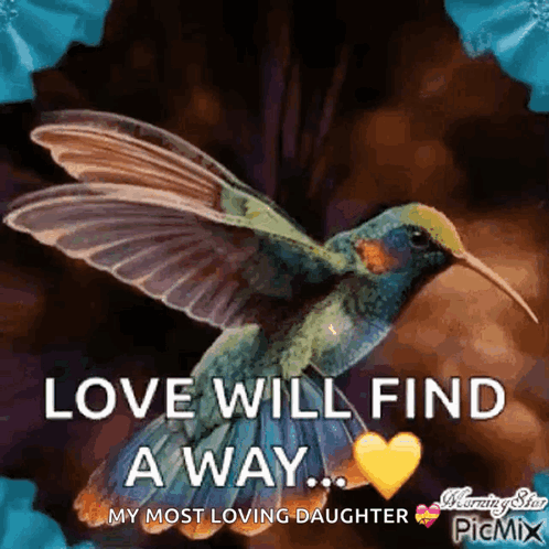 A Picture Of A Hummingbird With The Words Love Will Find A Way On It GIF