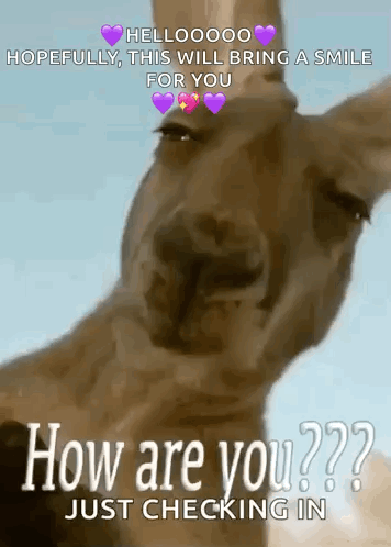 A Picture Of A Kangaroo With The Words How Are You Just Checking In On It GIF