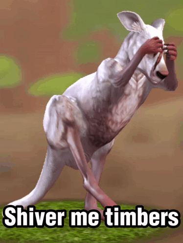 A Picture Of A Kangaroo With The Words " Shiver Me Timbers " Below It GIF