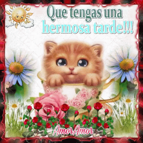 A Picture Of A Kitten In A Cup With The Words Que Tengas Una Hermosa Tarde !!! GIF