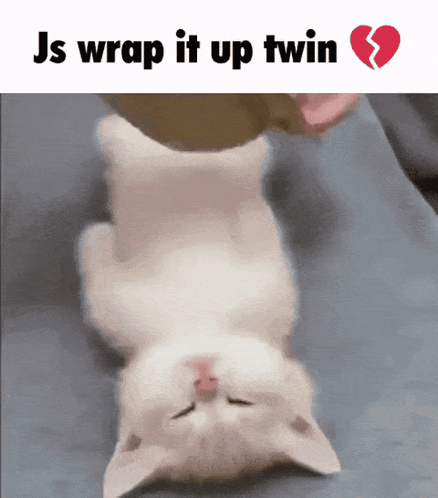A Picture Of A Kitten Laying On Its Back With The Words Js Wrap It Up Twin Below It GIF