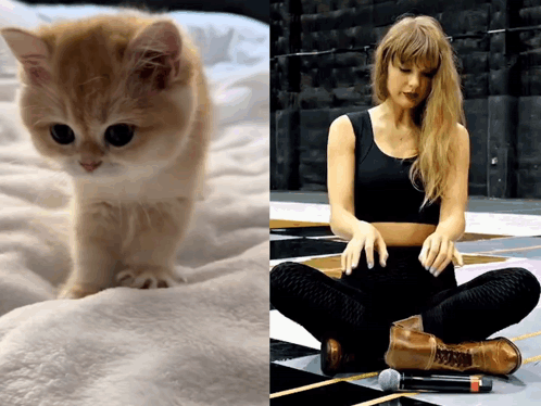 A Picture Of A Kitten Next To A Picture Of Taylor Swift GIF