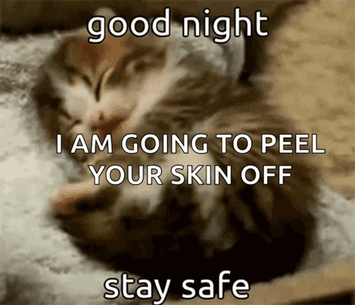 A Picture Of A Kitten Sleeping With The Caption Good Night I Am Going To Peel Your Skin Off Stay Safe GIF