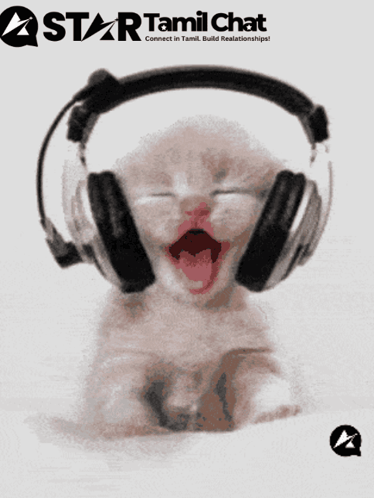 A Picture Of A Kitten Wearing Headphones That Says Star Tamil Chat On The Bottom GIF