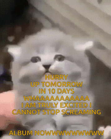 A Picture Of A Kitten With The Words " Hurry Up Tomorrow In 10 Days " On It GIF