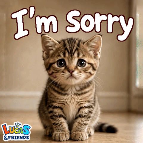 A Picture Of A Kitten With The Words " I 'M Sorry " Above It GIF