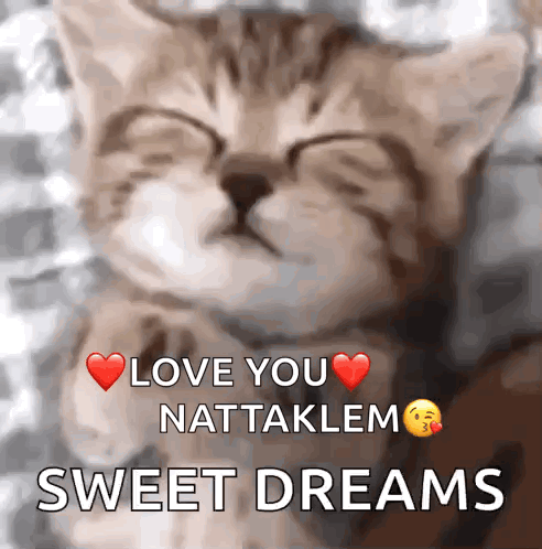 A Picture Of A Kitten With The Words Love You Nattaklem Sweet Dreams GIF