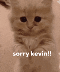 A Picture Of A Kitten With The Words Sorry Kevin On It GIF