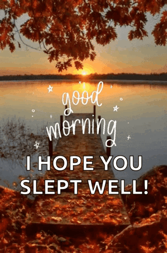 A Picture Of A Lake With The Words " Good Morning I Hope You Slept Well " On It GIF