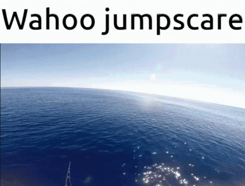 A Picture Of A Large Body Of Water With The Words Wahoo Jumpscare Above It GIF