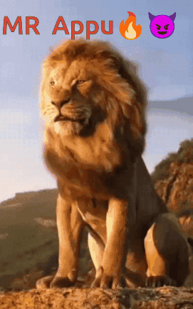 A Picture Of A Lion With The Words Mr Appu Written Above It GIF