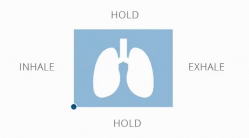A Picture Of A Lung With The Words Hold Inhale Exhale GIF