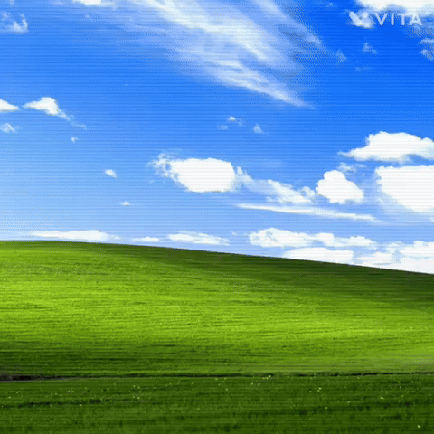 A Picture Of A Lush Green Field With Vita Written On The Bottom Right GIF