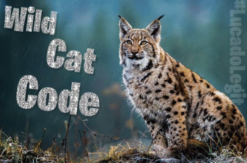 A Picture Of A Lynx With The Words Wild Cat Code Written Above It GIF