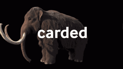 A Picture Of A Mammoth With The Word Carded Behind It GIF