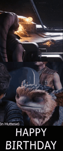 Man And Cat Happy Birthday GIF