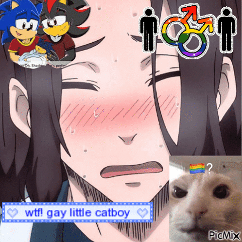 A Picture Of A Man And A Cat With The Words Wtf Gay Little Catboy At The Bottom GIF