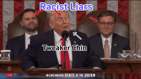 A Picture Of A Man Giving A Speech With The Words Racist Liars And A Tweaker Chin GIF