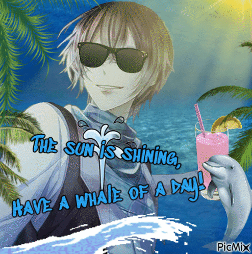 A Picture Of A Man Holding A Dolphin And A Drink That Says The Sun Is Shining GIF