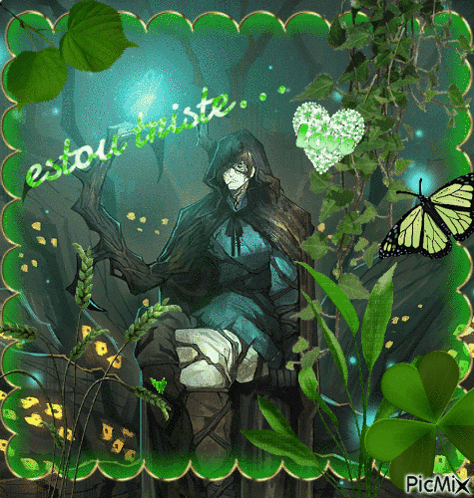 A Picture Of A Man In A Hooded Cape With A Butterfly And The Words " Estou Triste " GIF