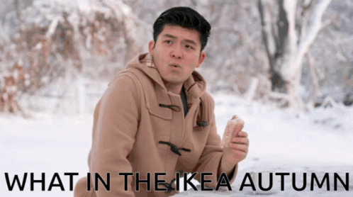 a picture of a man in the snow with the words what in the ikea autumn on the bottom