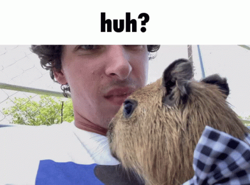 A Picture Of A Man Kissing A Guinea Pig With The Words Huh On The Bottom GIF