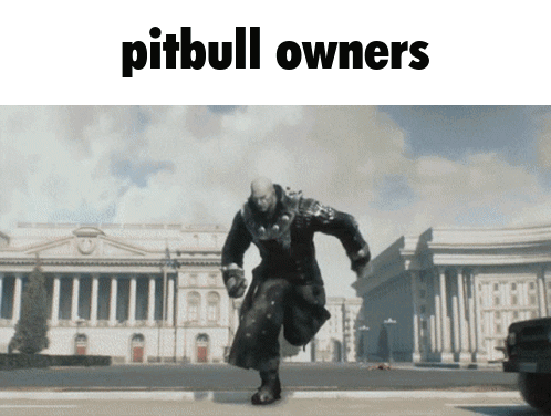 A Picture Of A Man Running Down A Street With The Words Pitbull Owners Below Him GIF