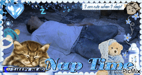 Man Sleeping Next To Cat And Teddy Bear Nap Time GIF