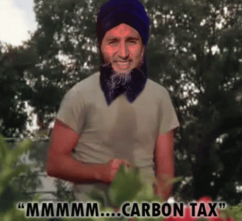 A Picture Of A Man With A Beard And A Turban Says " Mmmm Carbon Tax " GIF