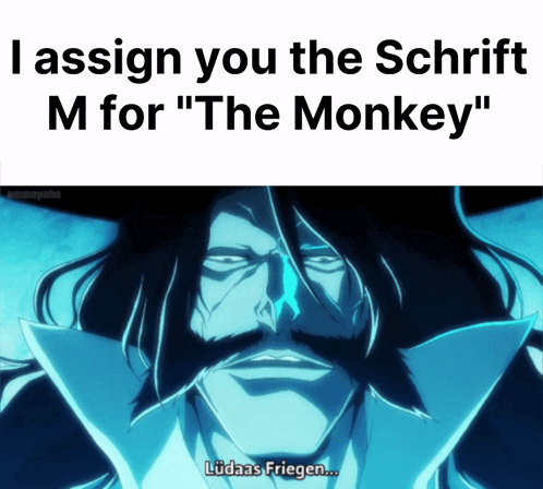 A Picture Of A Man With A Beard And The Words " I Assign You The Schrift M For The Monkey " GIF