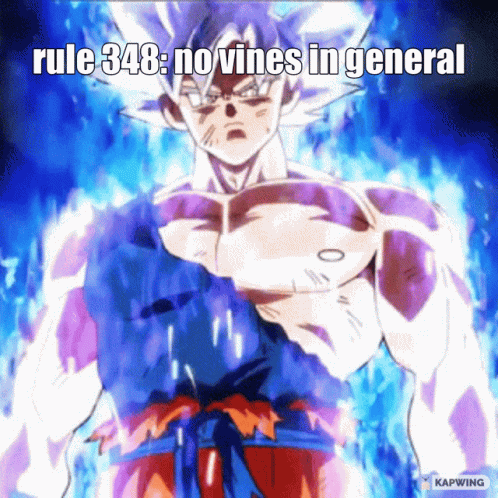 A Picture Of A Man With A Caption That Says Rule 348 No Vines In General GIF
