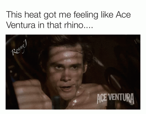 A Picture Of A Man With A Caption That Says " This Heat Got Me Feeling Like Ace Ventura In That Rhino " GIF