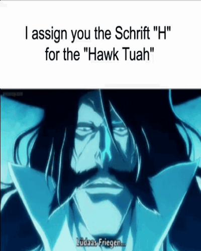 A Picture Of A Man With A Mustache And The Words " I Assign You The Schrift " H " For The " Hawk Tuah " GIF