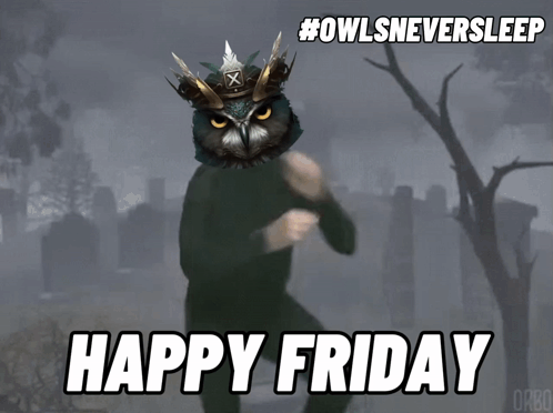 A Picture Of A Man With An Owl On His Head And The Caption Happy Friday GIF