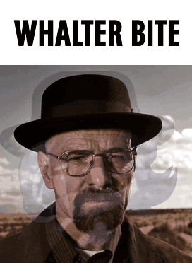 A Picture Of A Man With Glasses And A Hat With The Words Walter Bite Below Him GIF