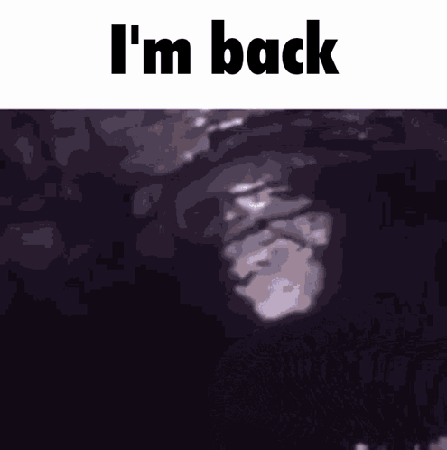 a picture of a man with the words " i 'm back " above him