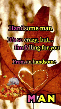 A Picture Of A Maple Leaf With A Heart On It And The Words Handsome Man GIF